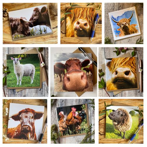 Farmyard Cards and Gifts